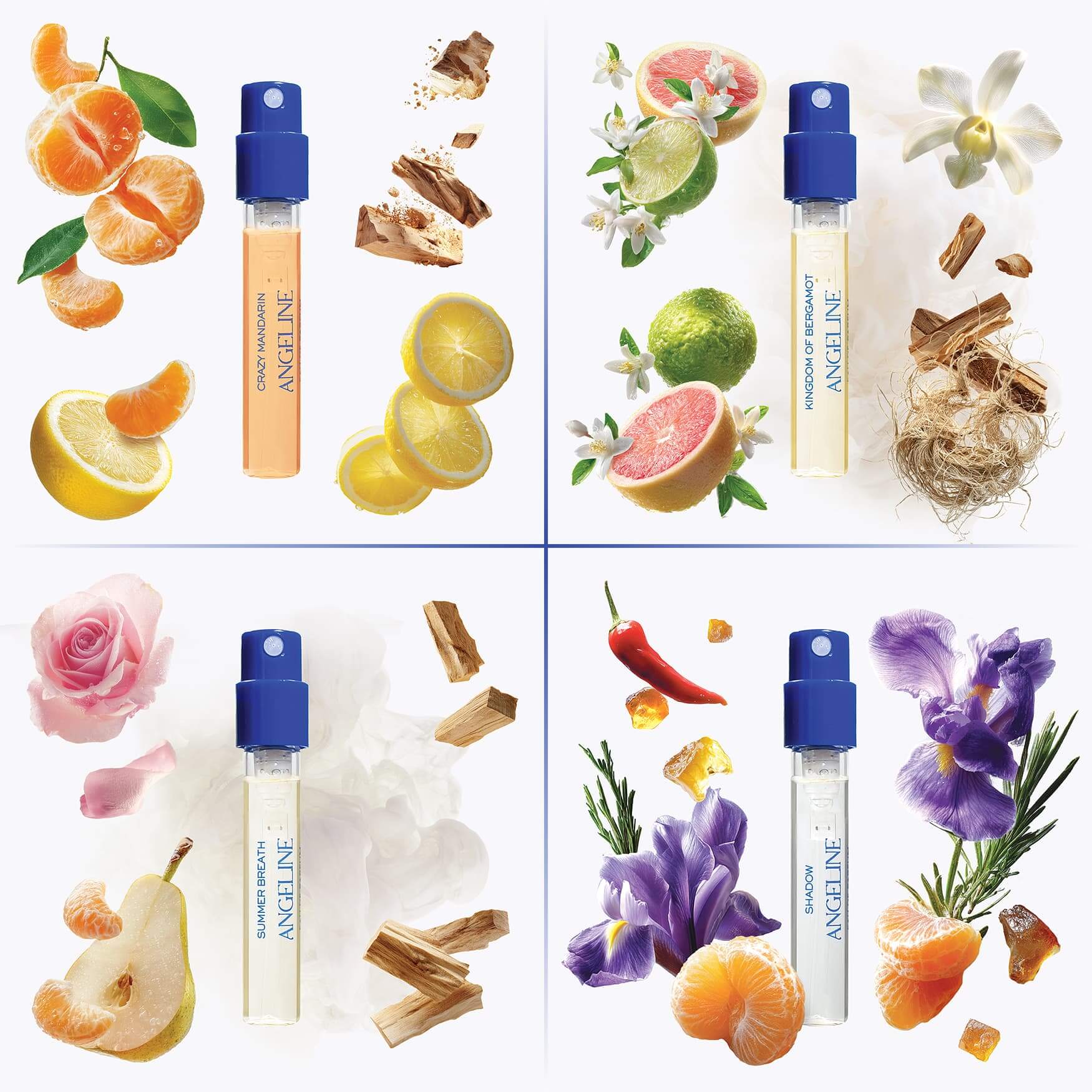 Citrus Paradise