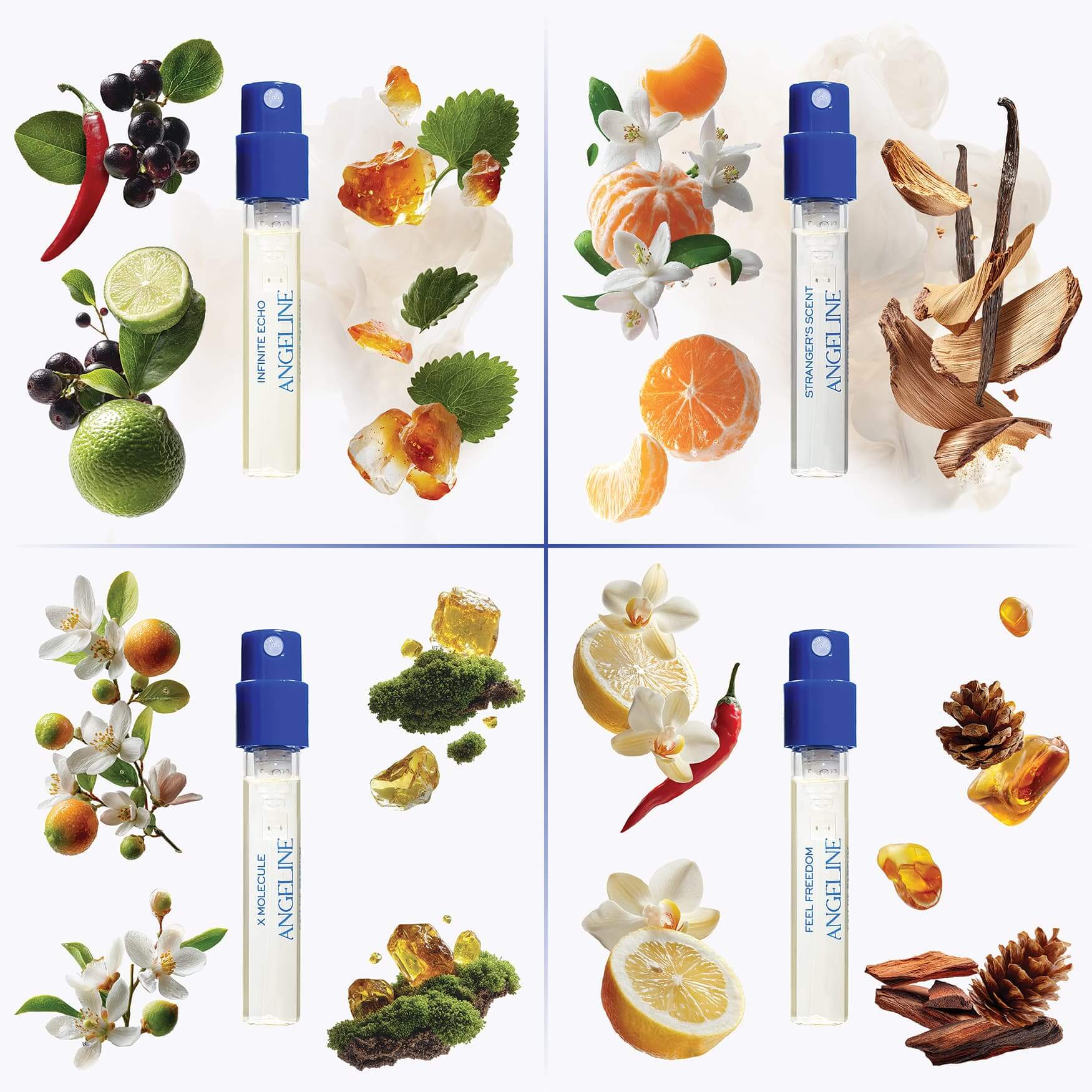 Sporty Scents for Him