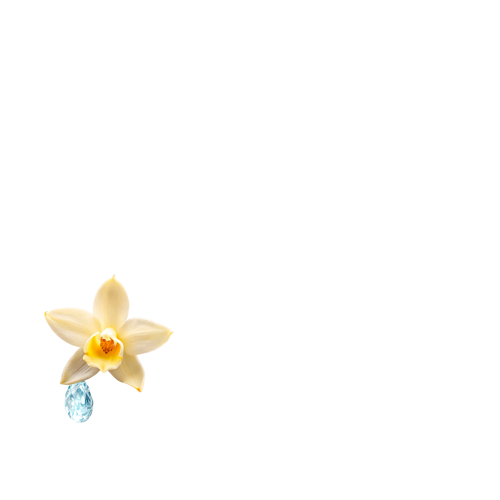 Lost love | Eau De Parfum | Angeline Perfume