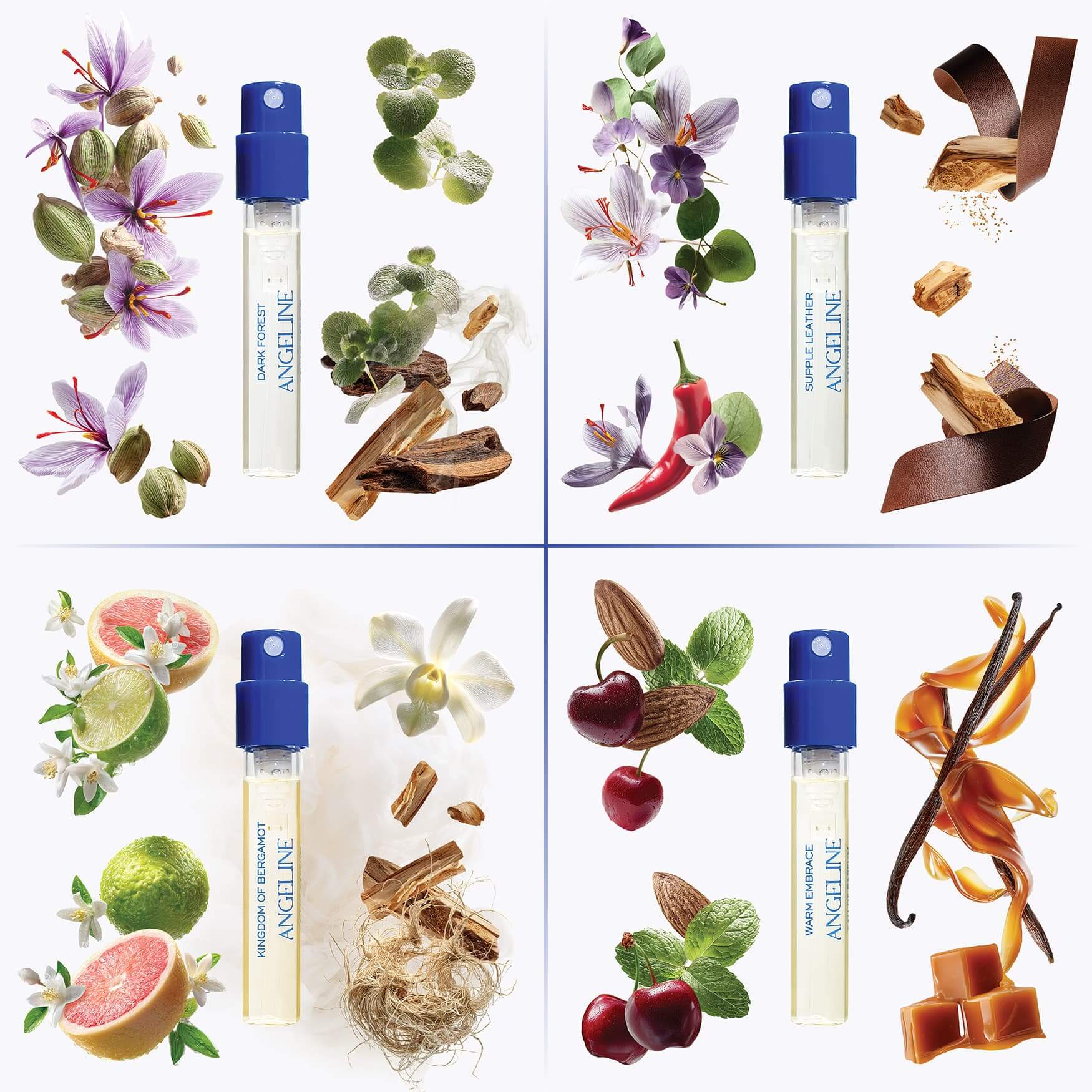Top Men’s Fragrances