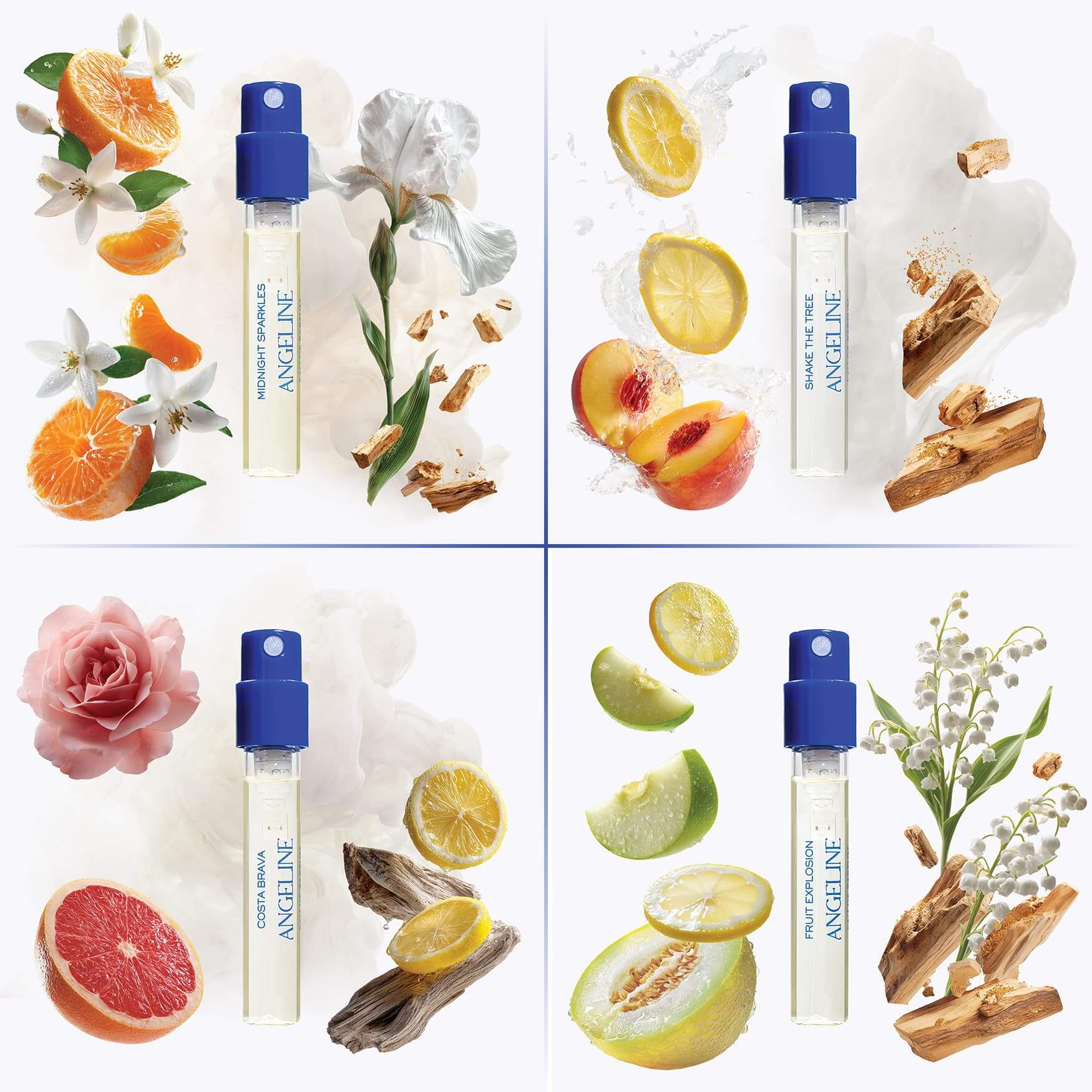 Citrus Paradise