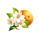 Orange blossom