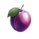 Plum