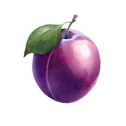 Plum