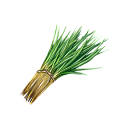 Vetiver