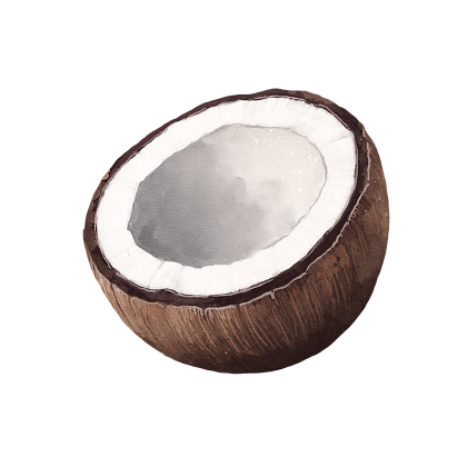 Coconut