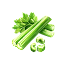 Celery