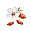 Almond