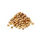 Koriandr