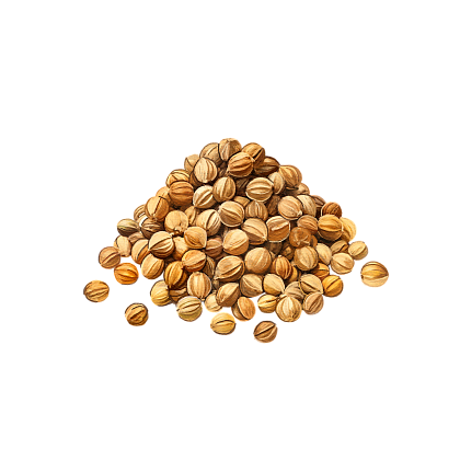 Coriander