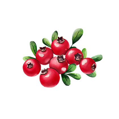 Cranberry