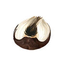 Musk