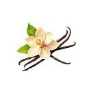 Vanilla