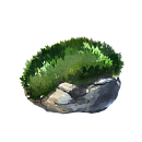 Moss