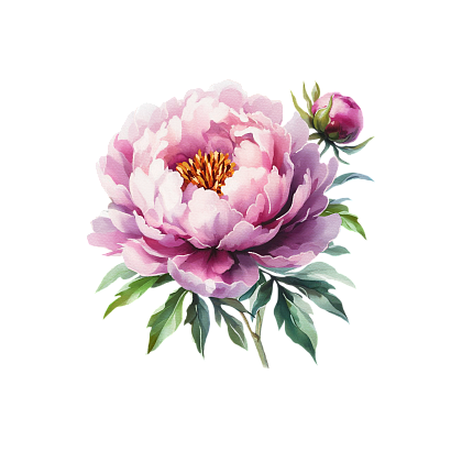 Peony