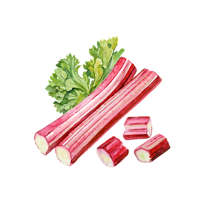 Rhubarb