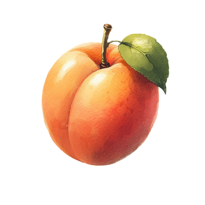 Apricot