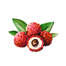 Litchi
