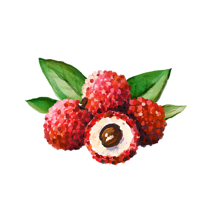 Litchi