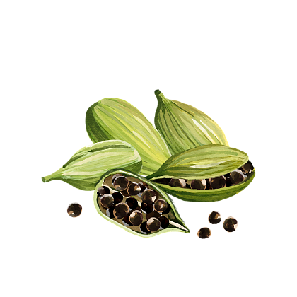 Cardamom